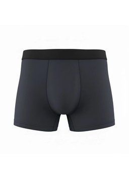Труси-боксери чоловічі H&M НМ 8233 L темно-сірі 49079 фото